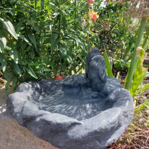 Pinguïns - waterbakje