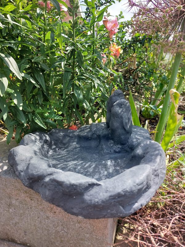 Pinguïns - waterbakje