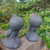 Duif - Hollandse kropper - koppel