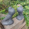 Duif - Hollandse kropper - koppel