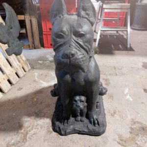 Hond - Dog