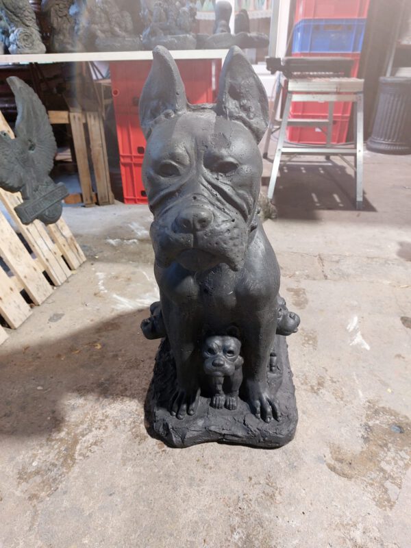 Hond - Dog