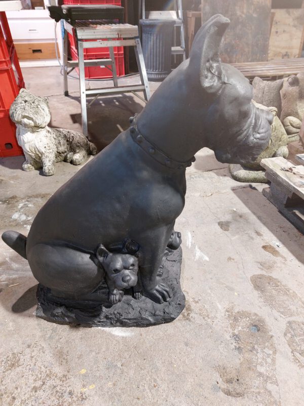 Hond - Dog