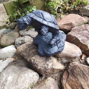 Schildpad - staand