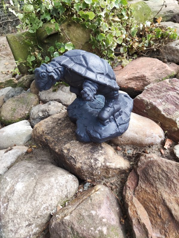 Schildpad - staand