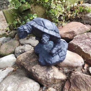 Schildpad - staand