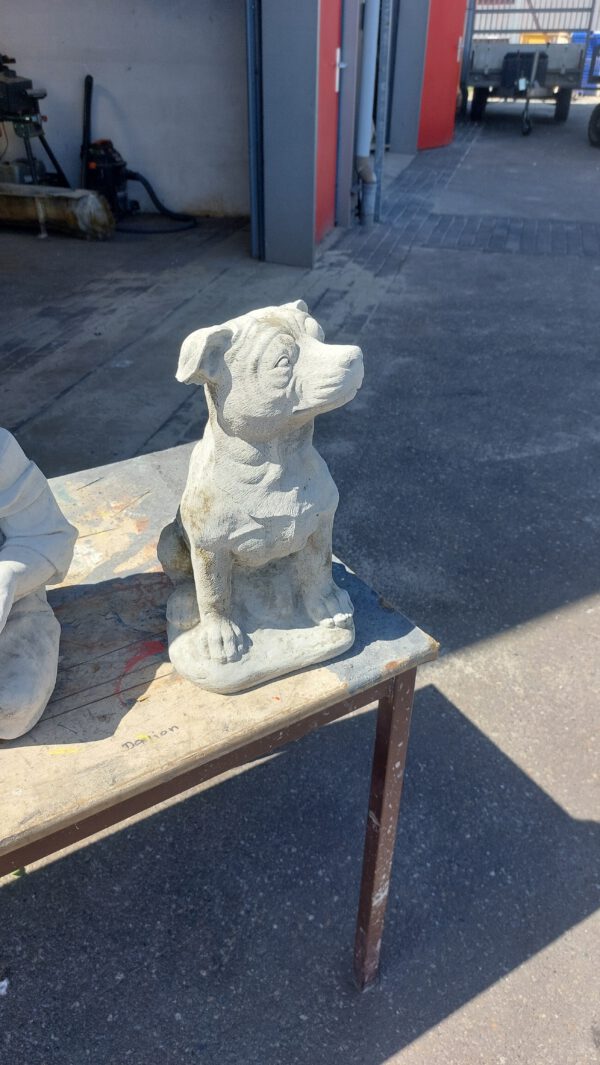 Staffordshire Bull Terrier