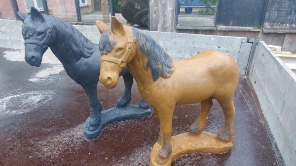 Paard