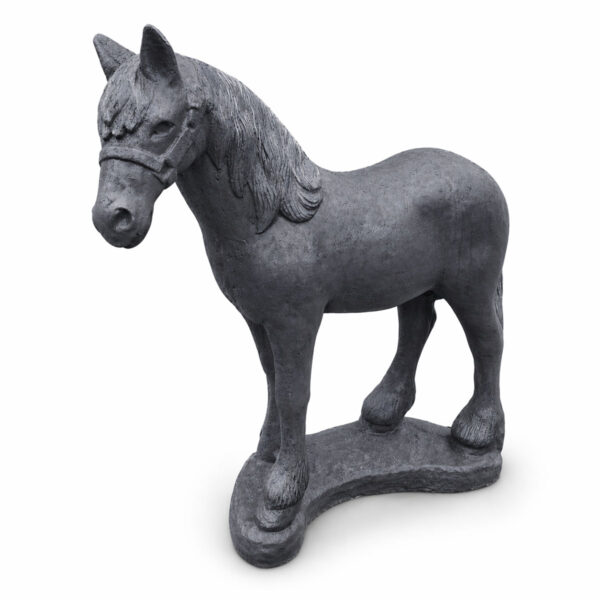Paard