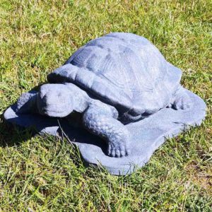 Schildpad