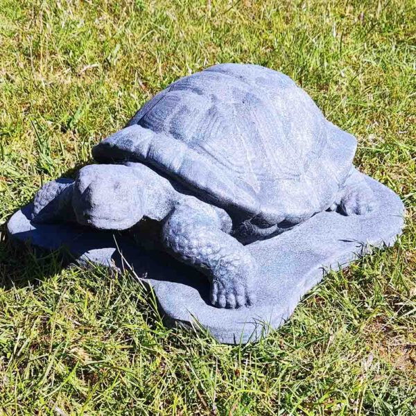 Schildpad