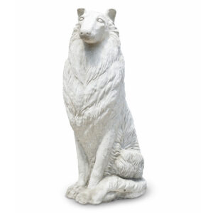 Schotse herdershond of collie