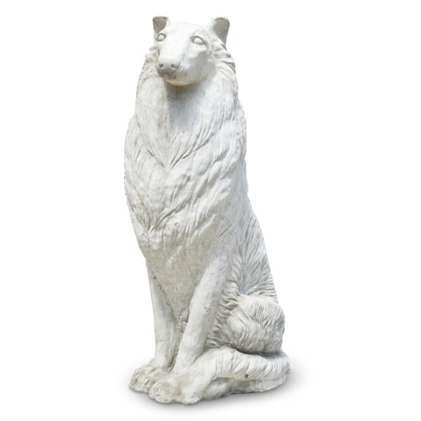 Schotse herdershond of collie