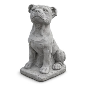Staffordshire Bull Terrier