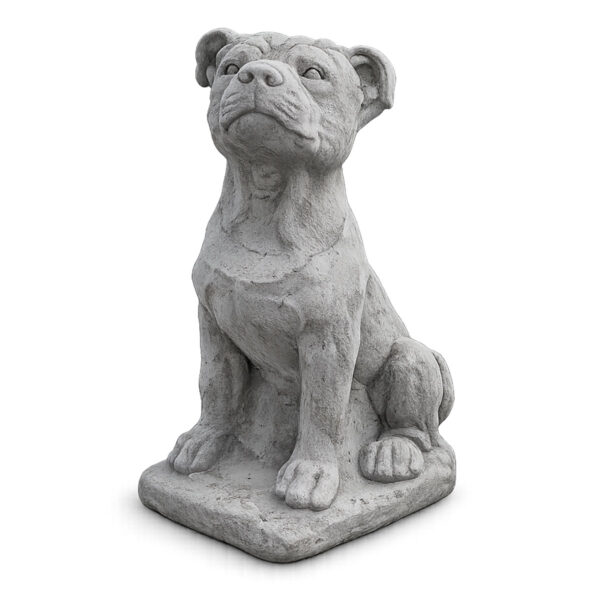 Staffordshire Bull Terrier