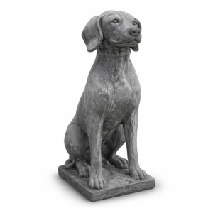 Vizsla / jachthond