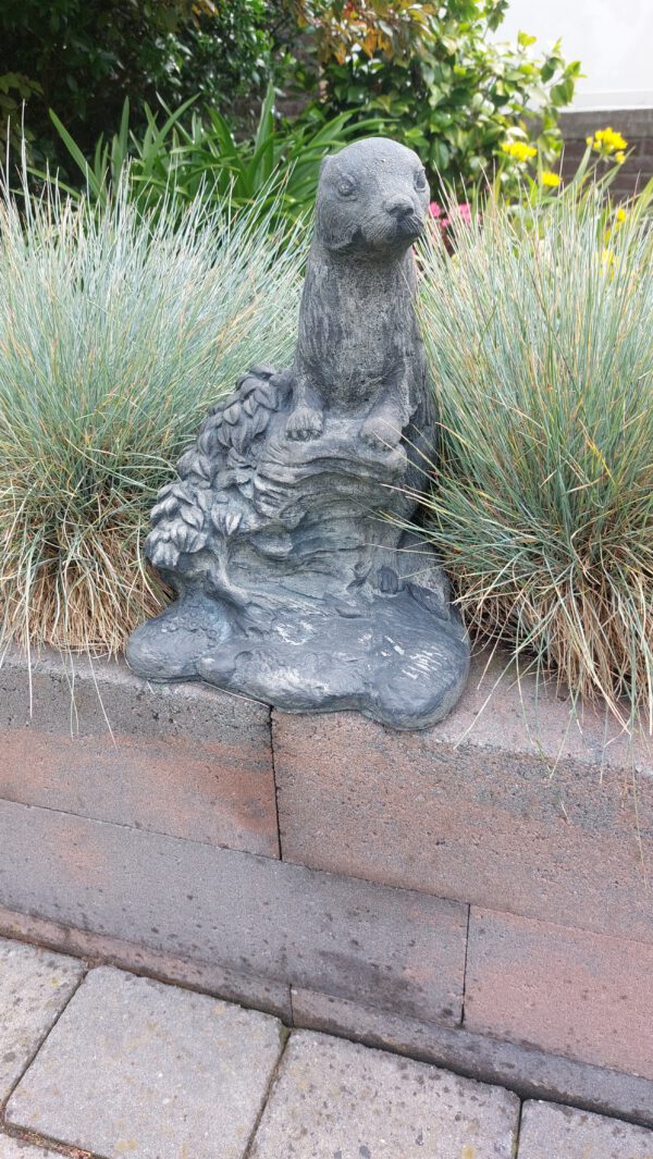 Otter (leuk voor bij de vijver)
