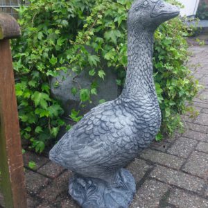 Gans (model groot)