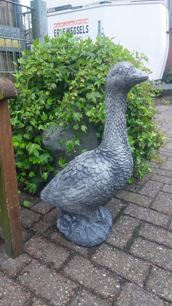 Gans (model groot)
