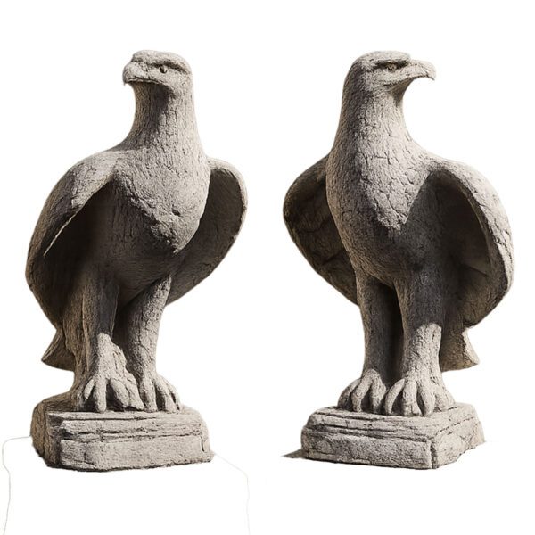 Adelaar - Set van links en rechts kijkend