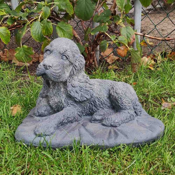 Cocker Spaniël - maat M