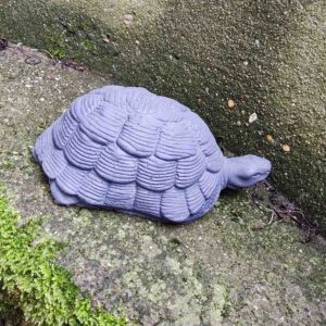 Schildpad - maat S