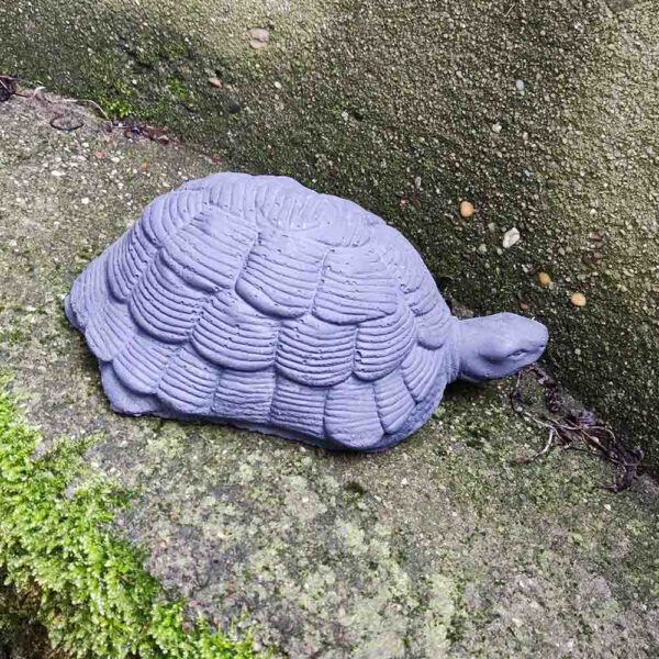 Schildpad - maat S